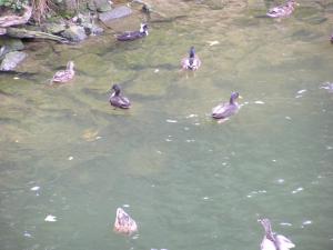 2004 23 Rainer
